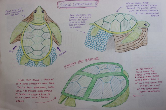 Sea turtle concept