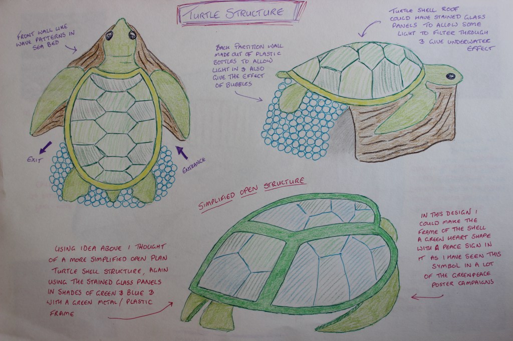Sea turtle concept