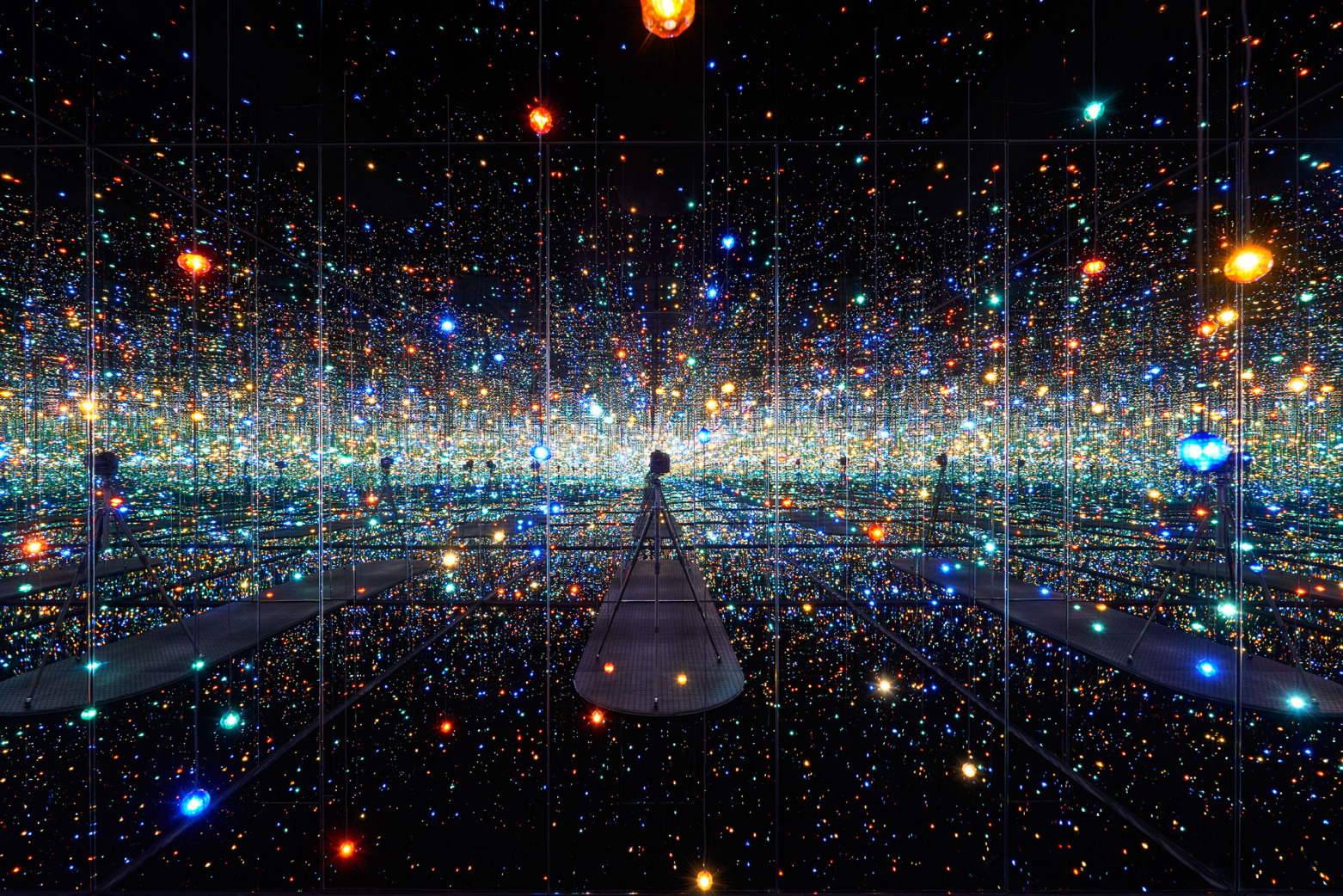 yayoikasuma